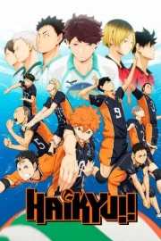 Haikyuu!! OVAs