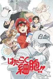 Hataraku Saibou 2nd Season