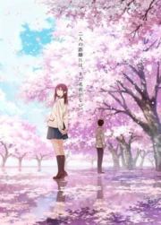 Kimi no Suizou wo Tabetai (Castellano)